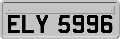 ELY5996