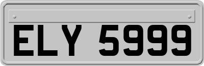ELY5999