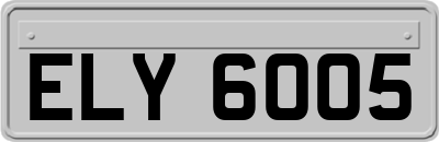 ELY6005