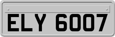 ELY6007