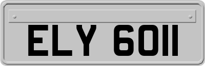 ELY6011