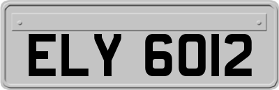 ELY6012