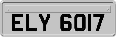 ELY6017