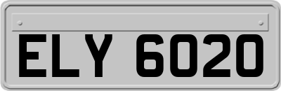 ELY6020