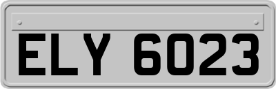 ELY6023