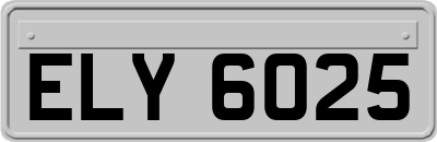 ELY6025