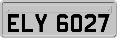 ELY6027