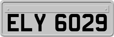 ELY6029
