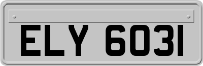ELY6031
