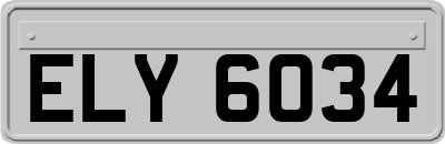 ELY6034