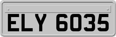 ELY6035