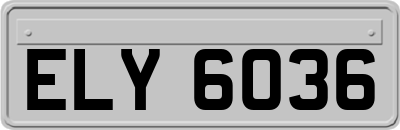 ELY6036