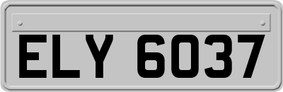 ELY6037