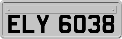 ELY6038