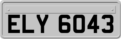 ELY6043