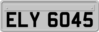 ELY6045