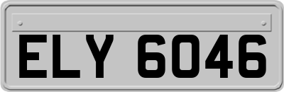 ELY6046