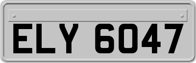 ELY6047