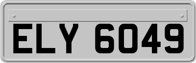 ELY6049
