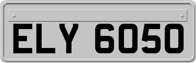 ELY6050