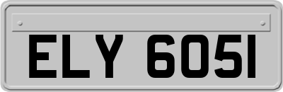 ELY6051
