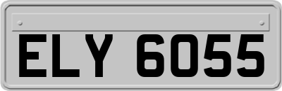 ELY6055