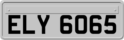 ELY6065