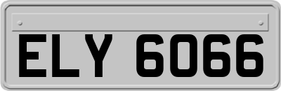ELY6066