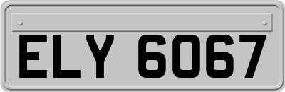 ELY6067