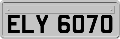 ELY6070