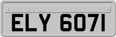 ELY6071