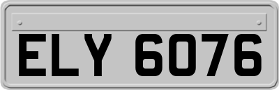 ELY6076