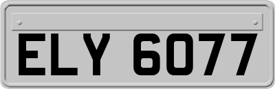 ELY6077
