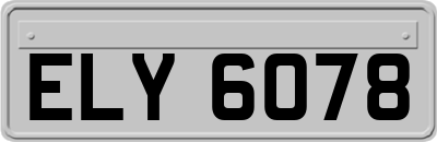ELY6078