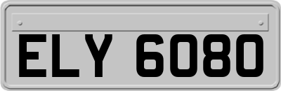 ELY6080