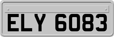 ELY6083