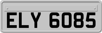 ELY6085