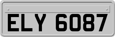 ELY6087