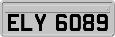 ELY6089
