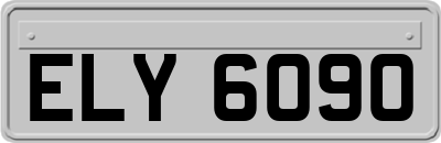 ELY6090