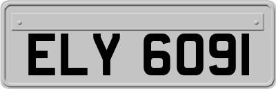 ELY6091