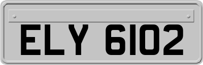 ELY6102