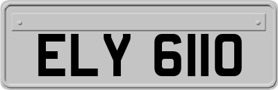 ELY6110