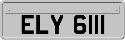 ELY6111