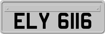 ELY6116