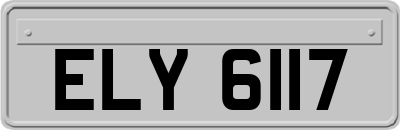 ELY6117