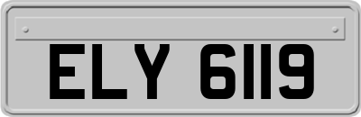 ELY6119