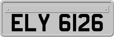 ELY6126