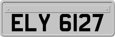 ELY6127