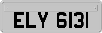 ELY6131